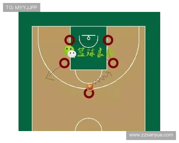 杭州篮球队与深圳篮球队赛后分析灵活性表现及战术调整探讨