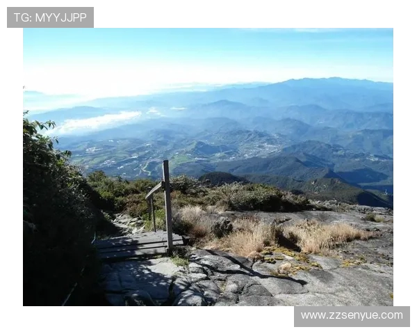 王军独家分享攀岩技巧与心得体会助你征服高峰