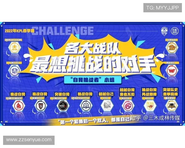 王者荣耀团队协作排行榜揭晓WE战队荣登第五名引发热议